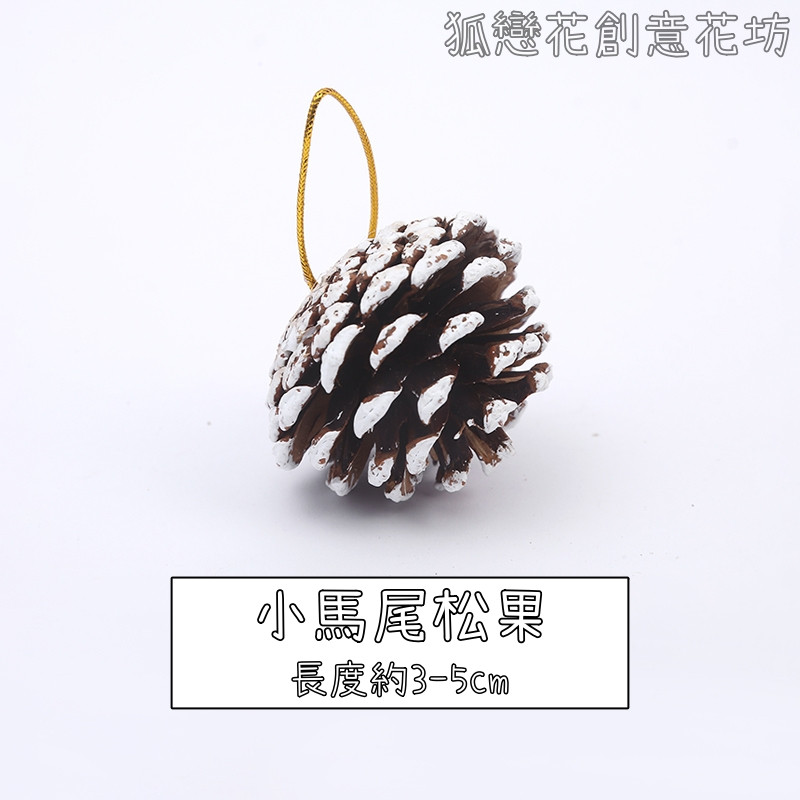 (帶繩)小馬尾松果❰雪色❱(3個)