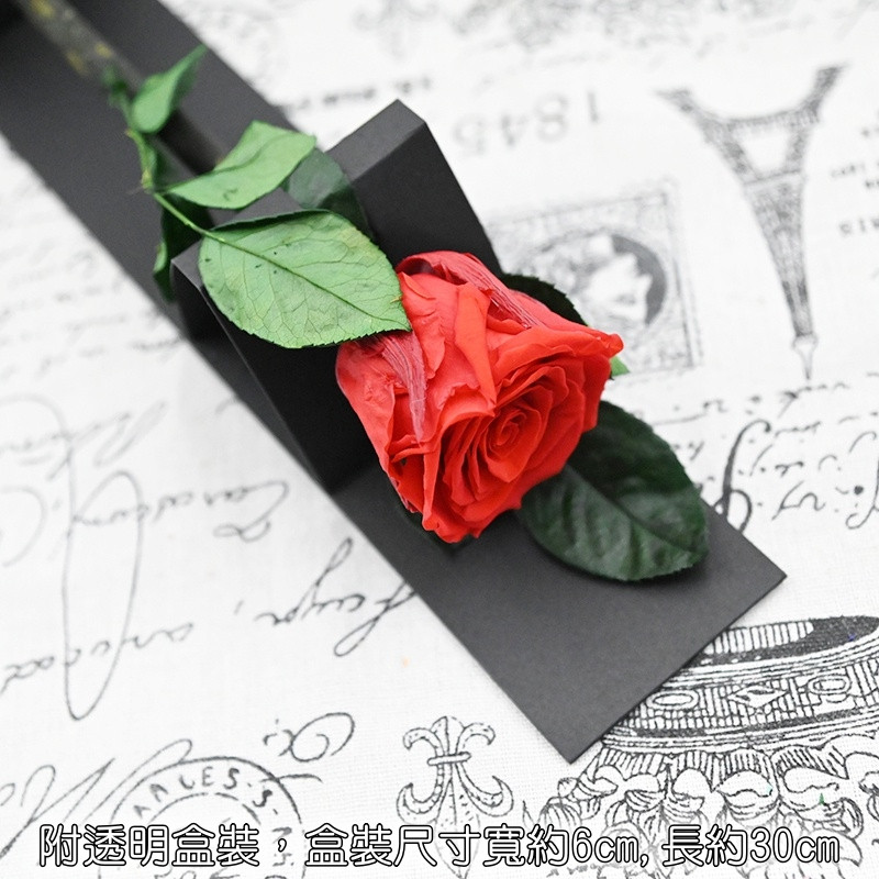 單支永生玫瑰❰紅❱,(贈送透明禮盒/櫥窗提袋/LED燈串)