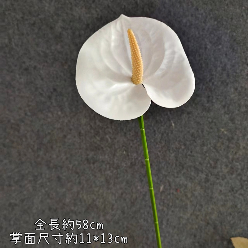單枝火鶴❰純白❱