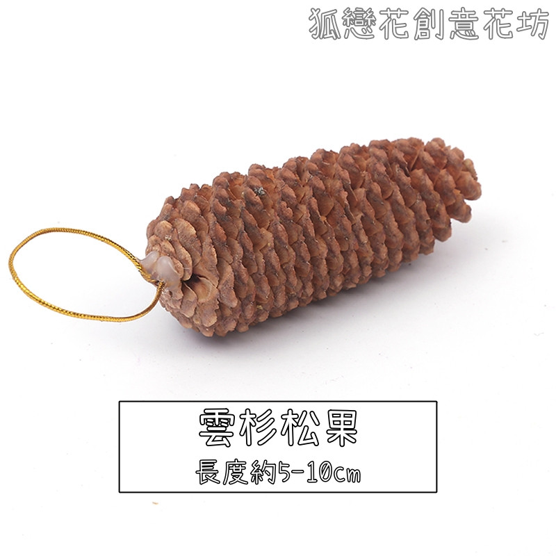 (帶繩)雲杉松果❰原色❱(2個)