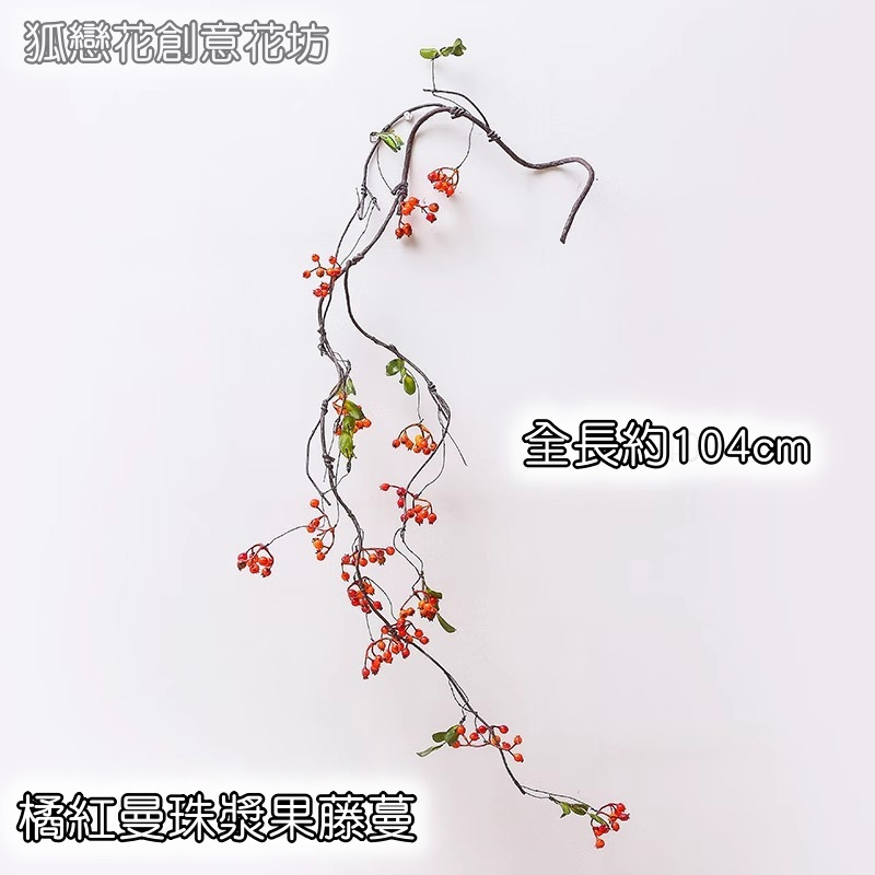 橘紅曼珠漿果藤蔓