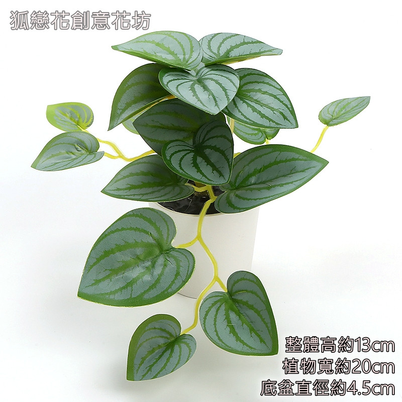 迷你仿真盆栽<綠西瓜>