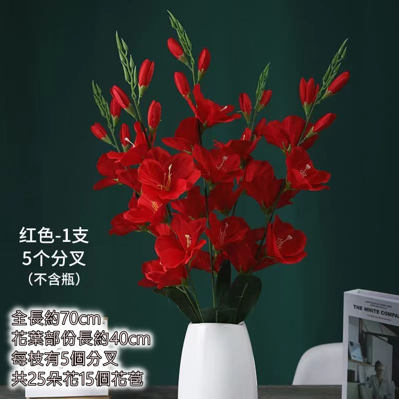 5叉劍蘭❰紅❱
