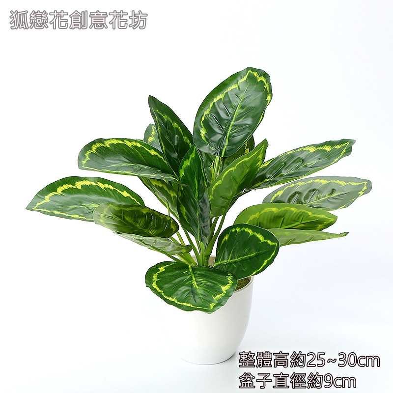 仿真植物盆栽<綠邊竹芋>