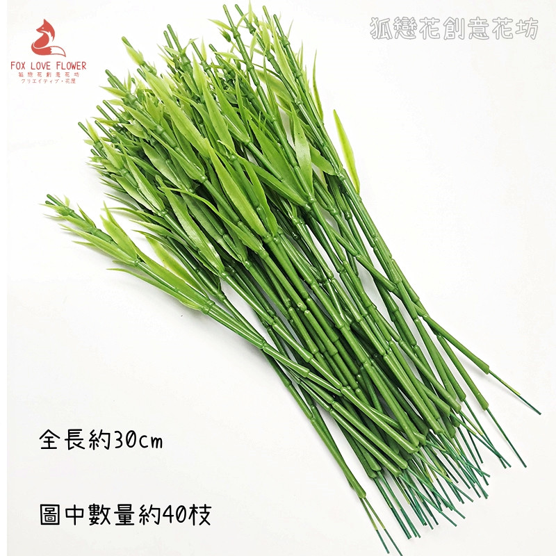 康乃馨花桿(5枝)