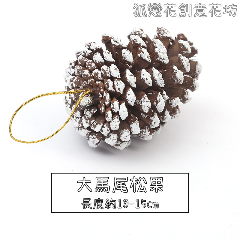 (帶繩)特大馬尾松果❰雪色❱(1個)