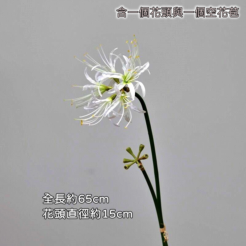 彼岸花❰白色❱