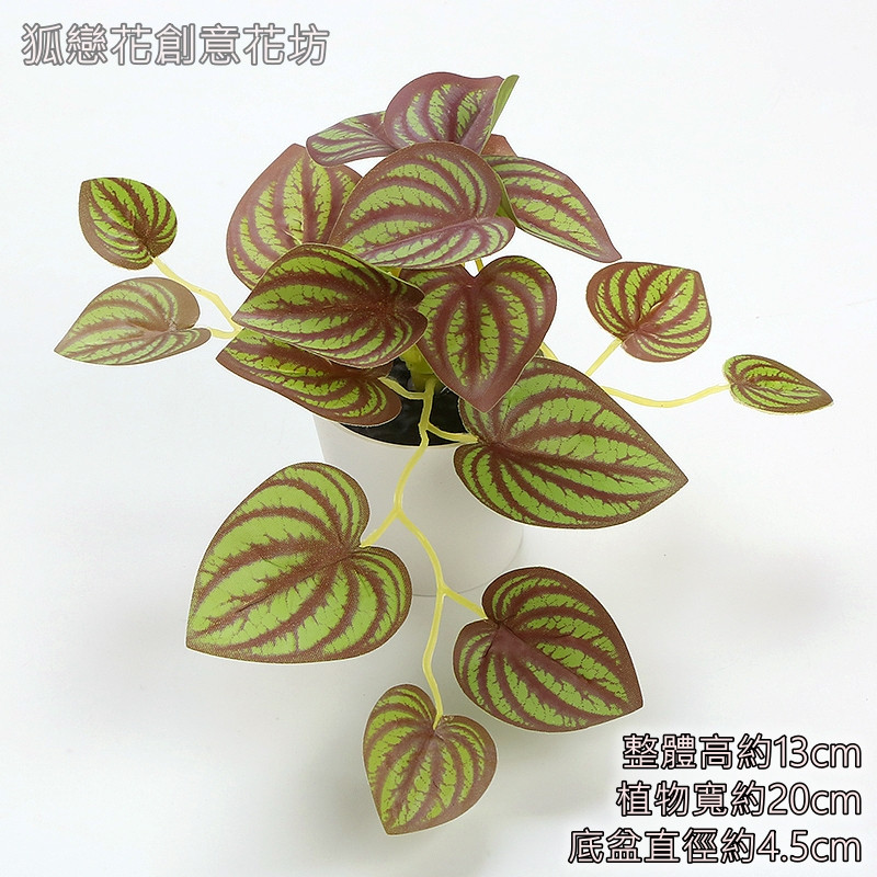 迷你仿真盆栽<秋紅西瓜>