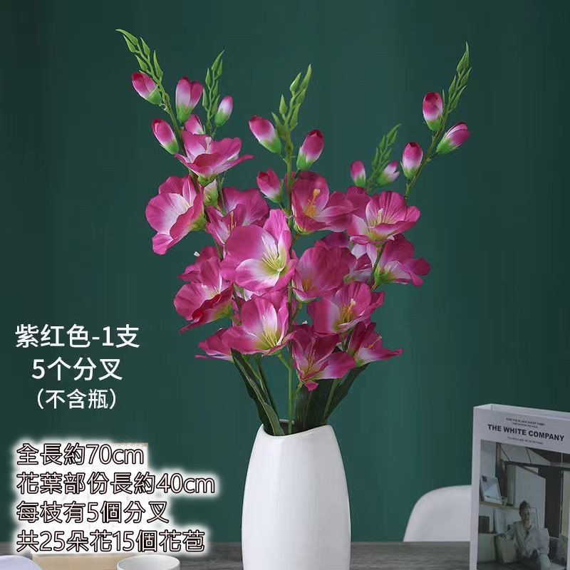 5叉劍蘭❰紫紅❱