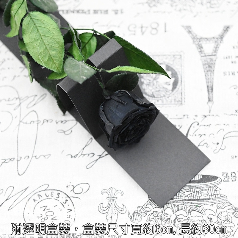 單支永生玫瑰❰黑❱,(贈送透明禮盒/櫥窗提袋/LED燈串)