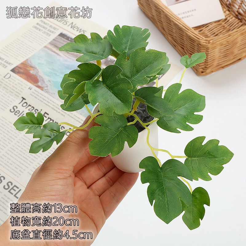 迷你仿真盆栽<綠龜背葉>