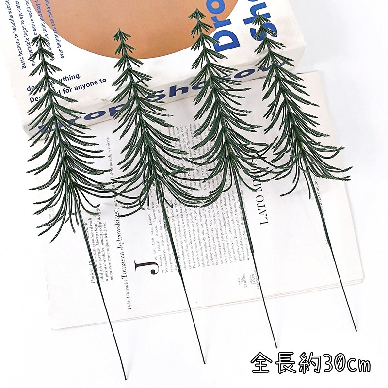 迷你綠色長雪杉(2枝)