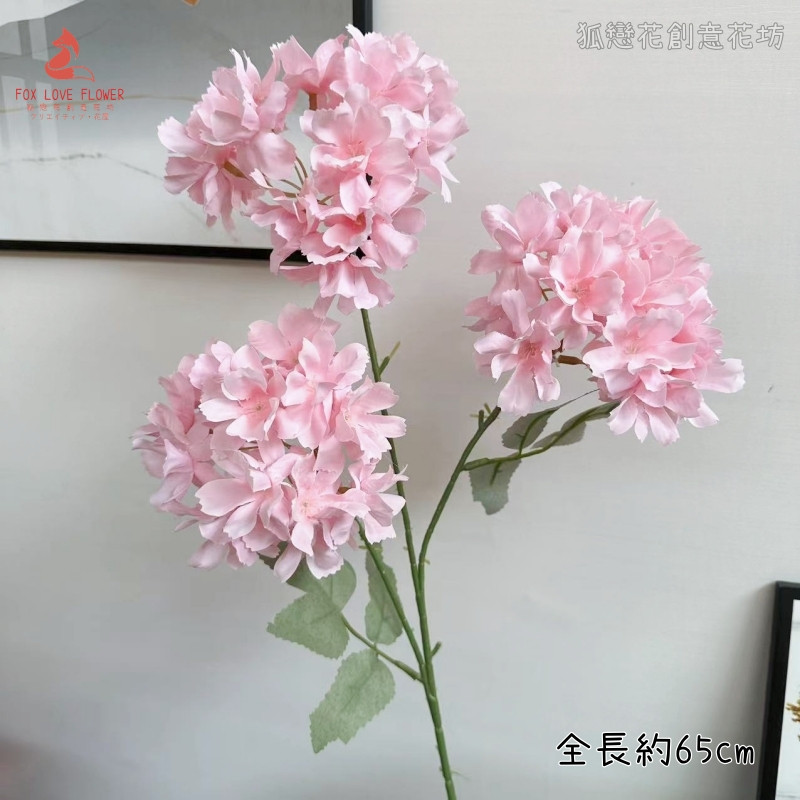 3頭長枝繡球❰粉❱
