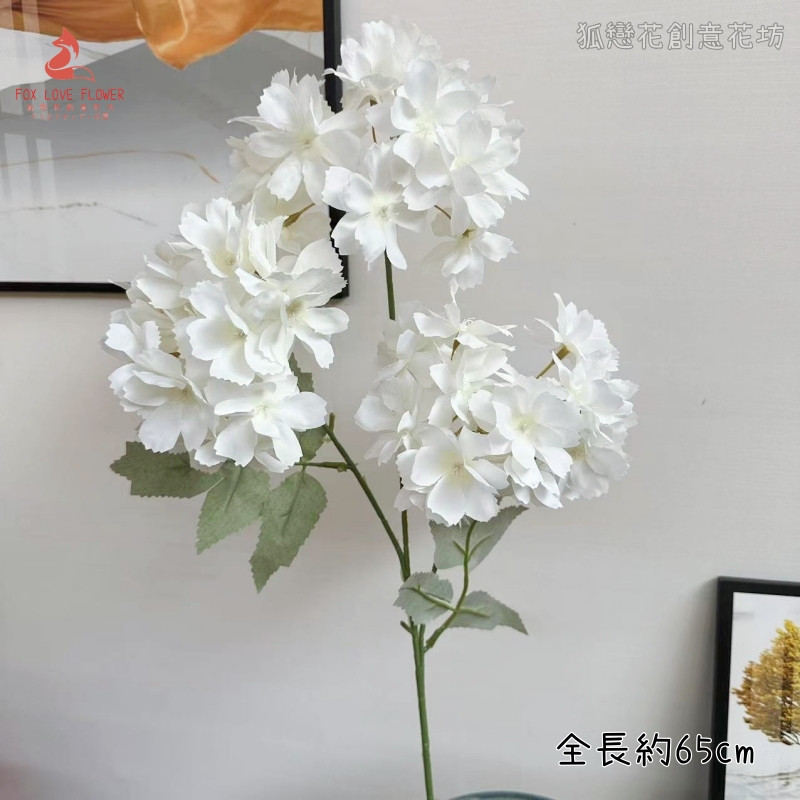 3頭長枝繡球❰白❱
