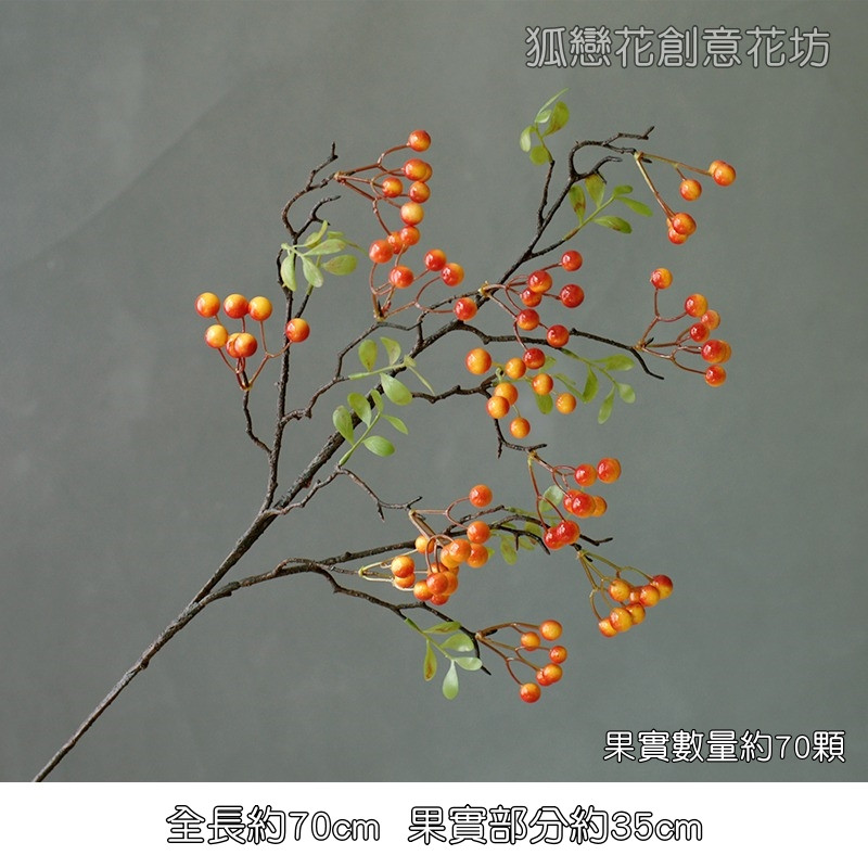 長枝小冬青(橘色),價錢為1枝的價格