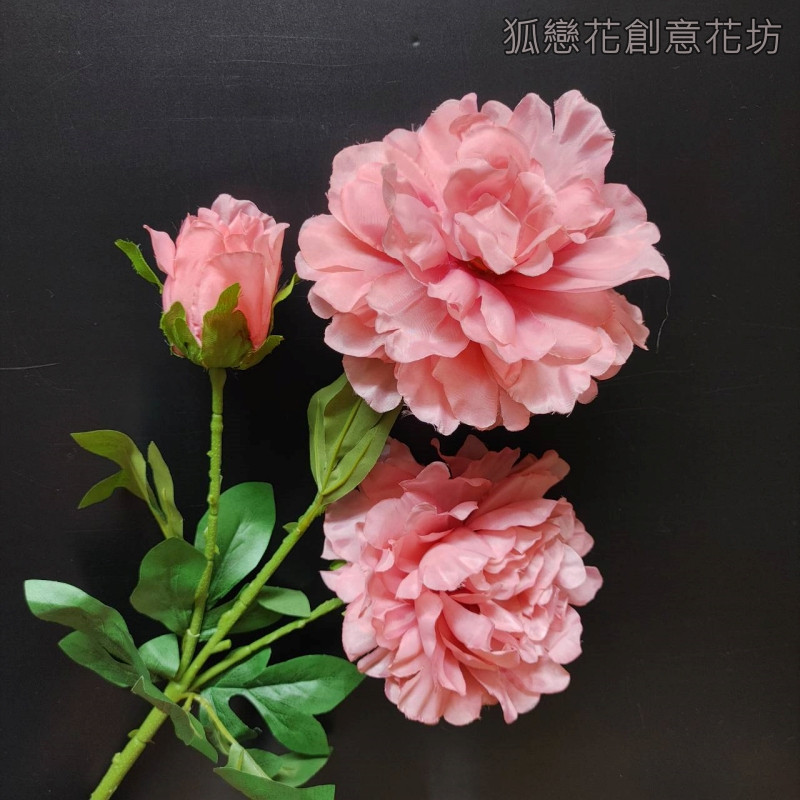 3頭若雲大牡丹❰深粉❱