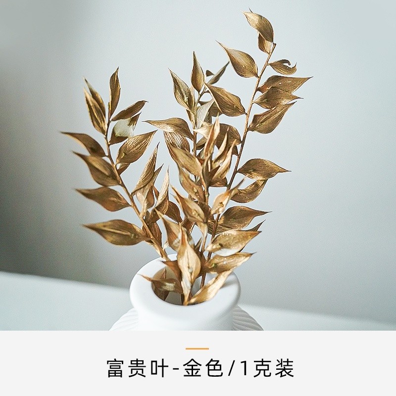 ❰金色❱富貴葉/樺木葉(1份)