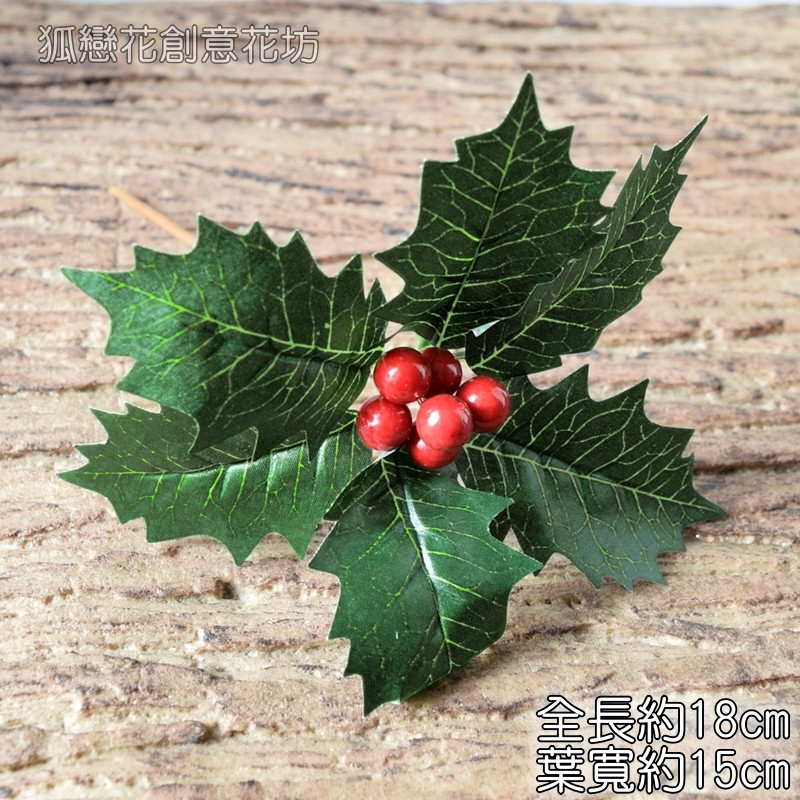 六葉紅果聖誕葉插枝(綠葉)1枝