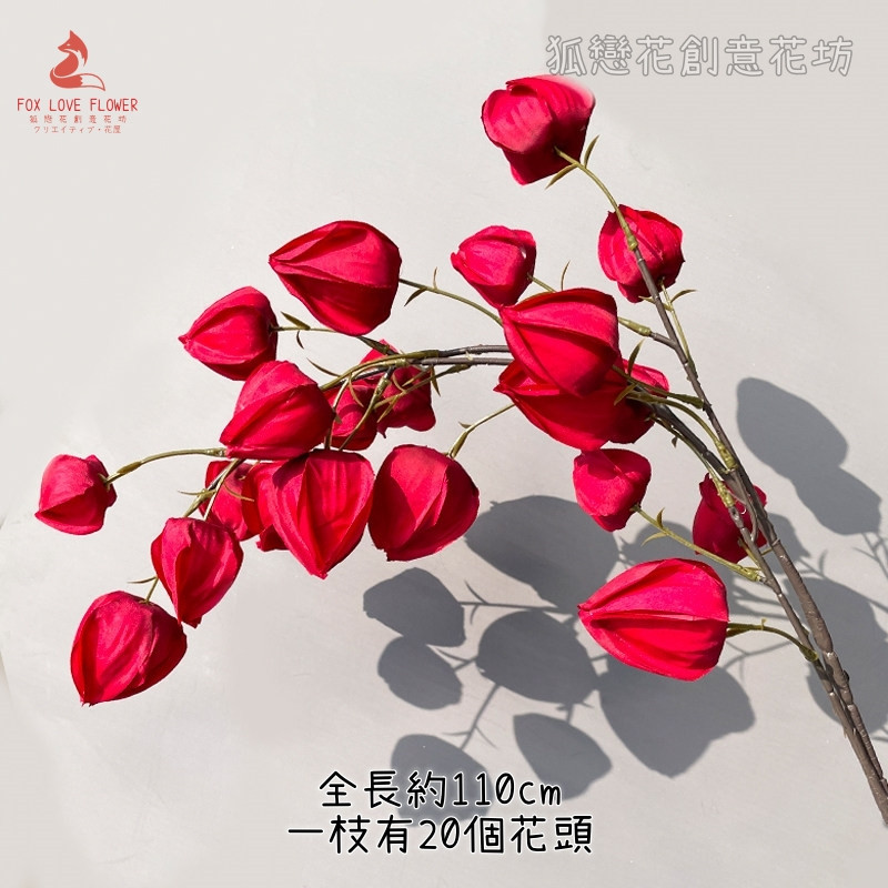 長枝燈籠果(紅色)