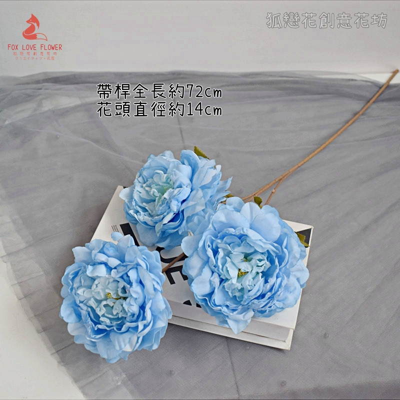 3頭焦邊牡丹❰淺藍❱