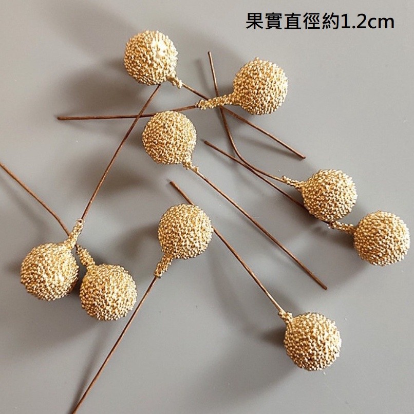 ❰仿真❱霧面小金果(10顆)