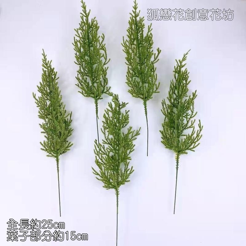 松柏葉(1枝)