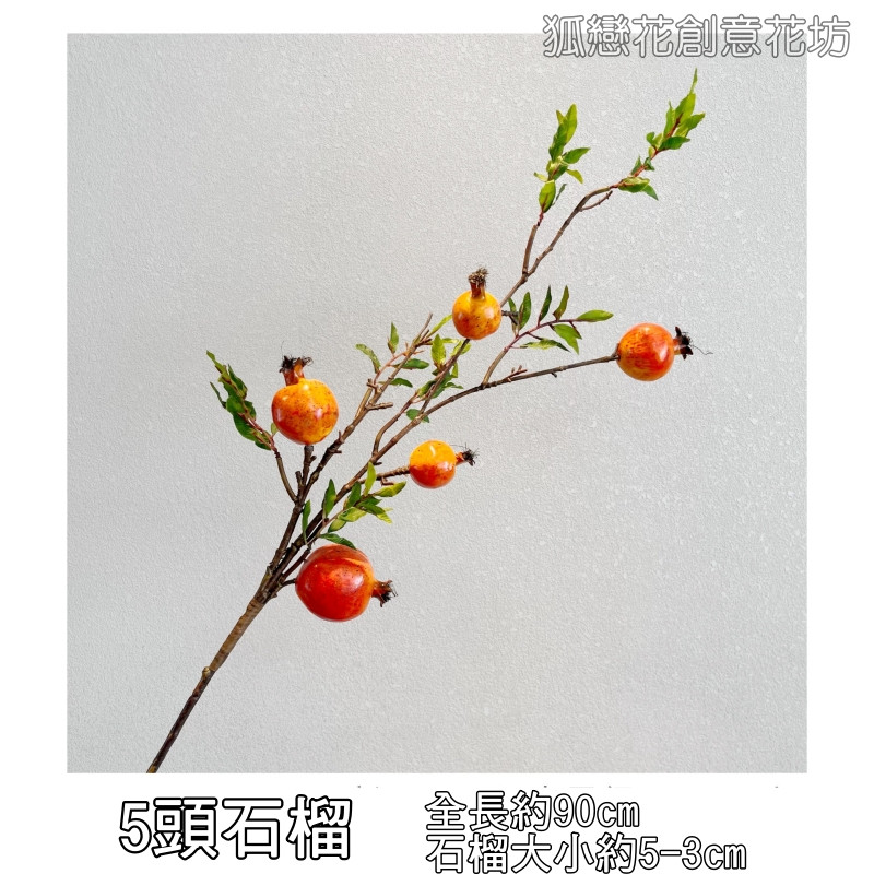 五果石榴(橘色)