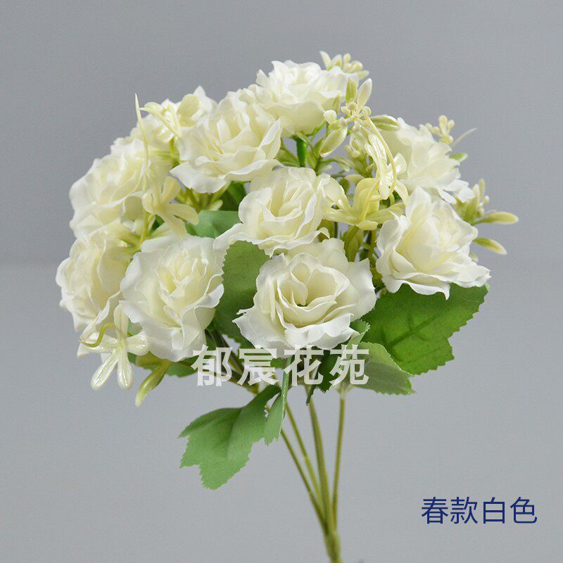 (30cm)春款白色,除了特別備註外都是1個的價格