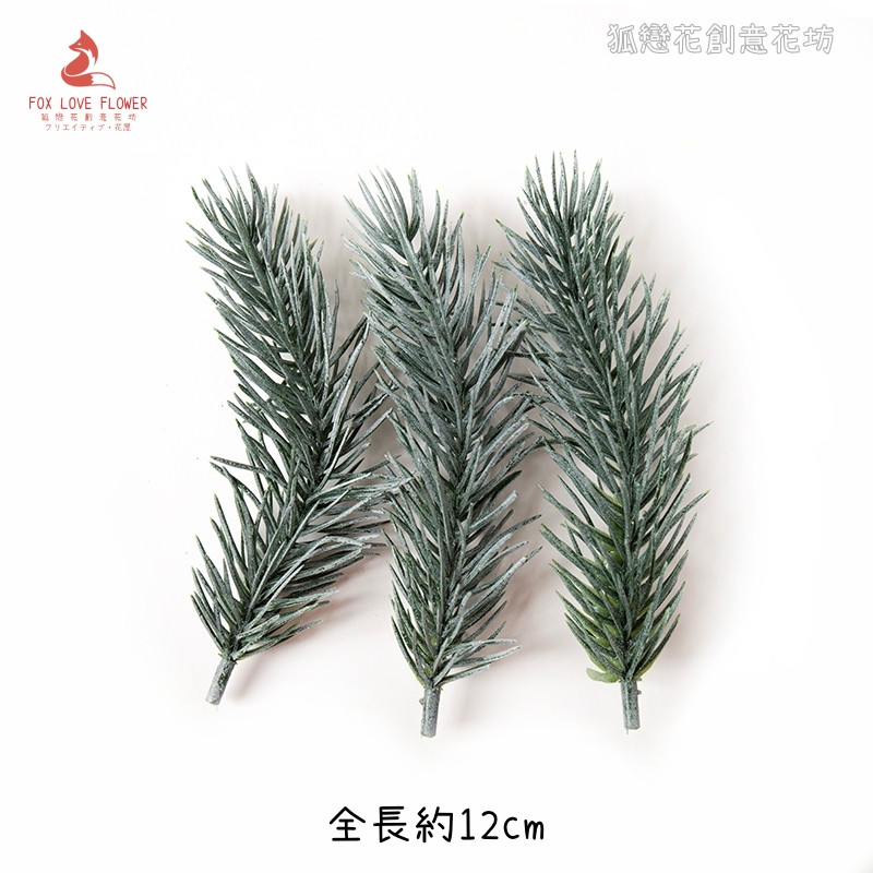 (白霜)12cm狐尾松(3枝)