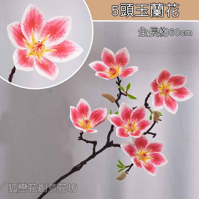5頭玉蘭花❰粉❱