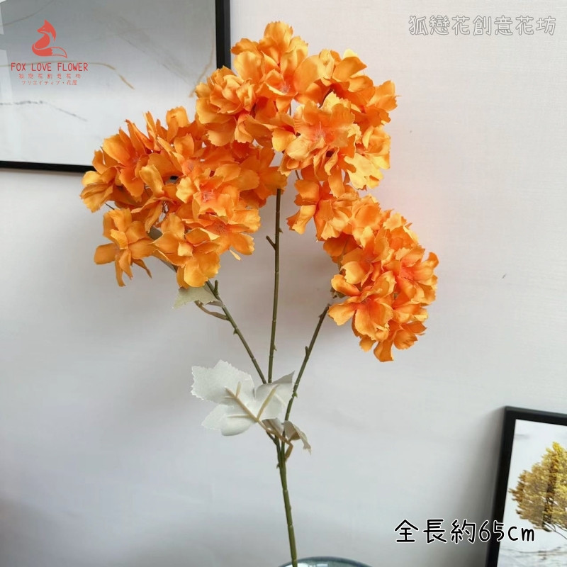 3頭長枝繡球❰橘❱