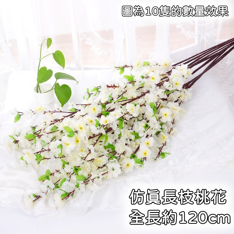 長款桃花❰白色❱