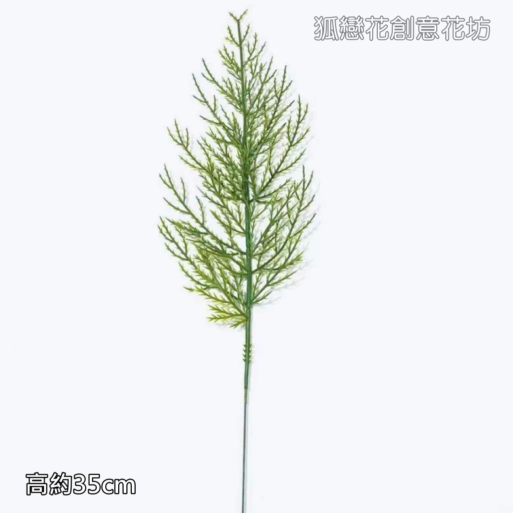 雪松葉(1枝)