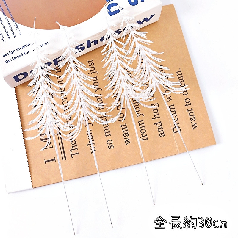 迷你白色長雪杉(2枝)