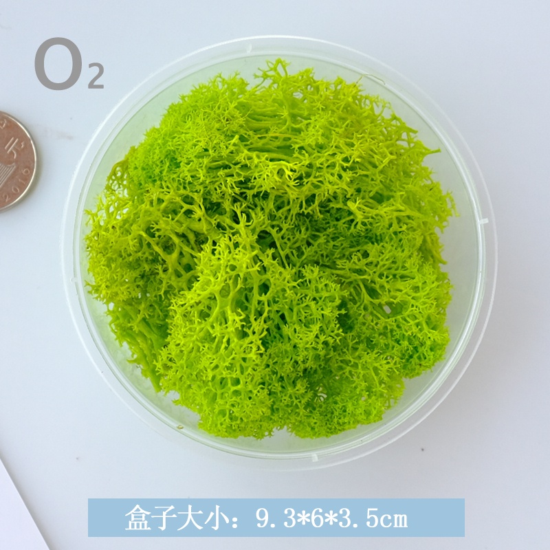 ❰淺綠❱苔癬(10g),🦊~賣場商品眾多，歡迎參觀選購~🦊