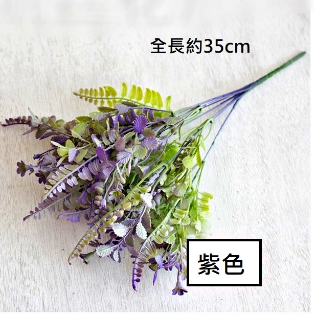 7叉配草(紫),🦊~賣場商品眾多，歡迎參觀選購~🦊