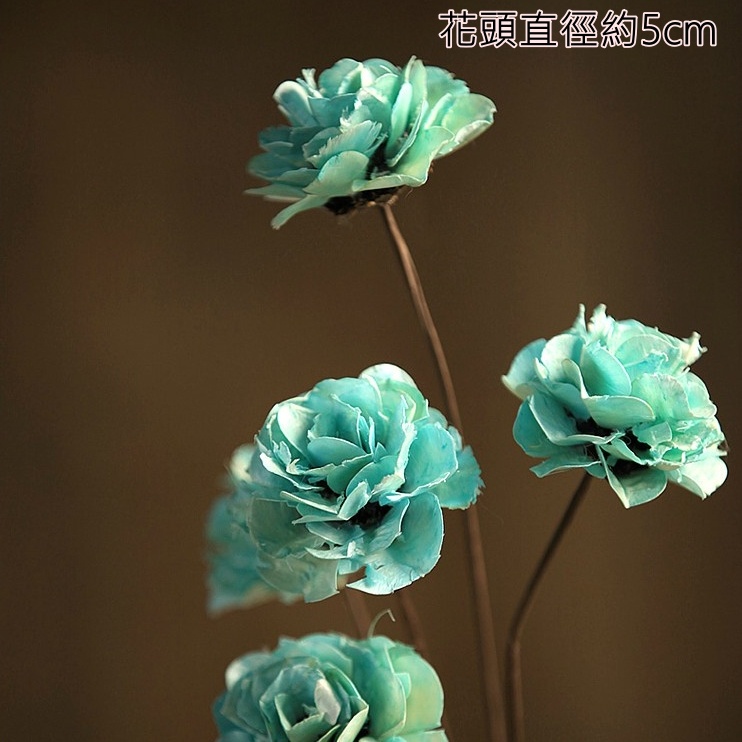 ❰藍❱薔薇1朵,本頁面僅花頭不帶桿