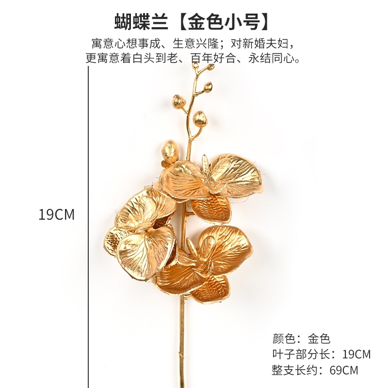 (金漆)小蝴蝶蘭(1枝),🦊~賣場商品眾多，歡迎參觀選購~🦊