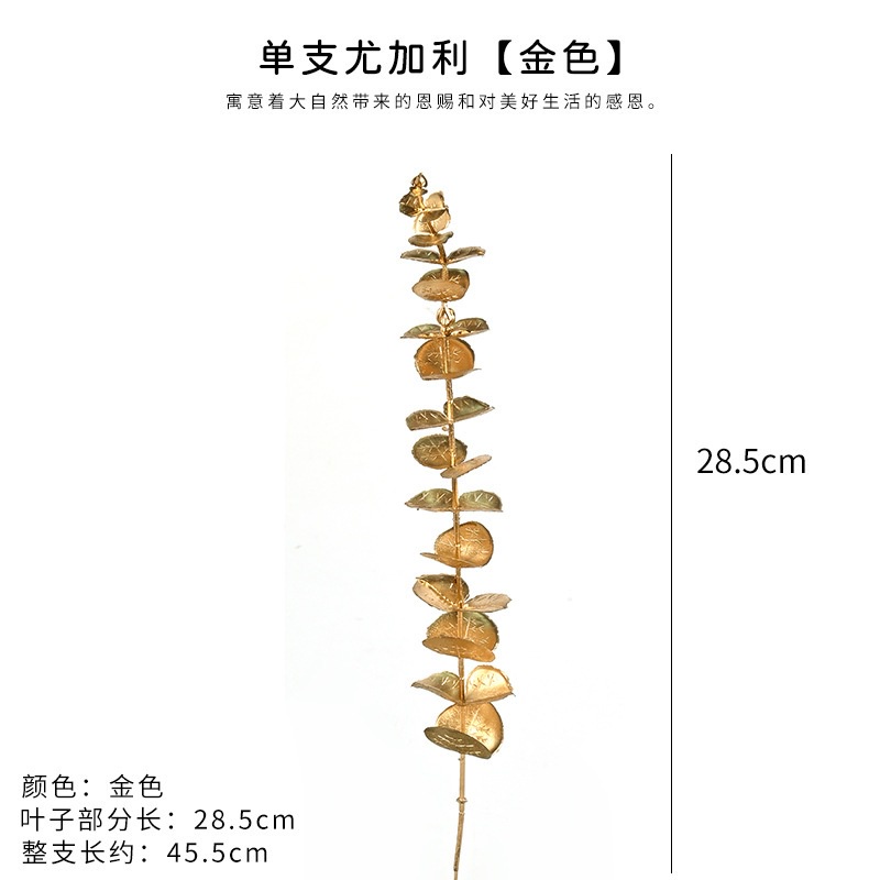 (金漆)單枝尤加利葉(買1送1),🦊~賣場商品眾多，歡迎參觀選購~🦊