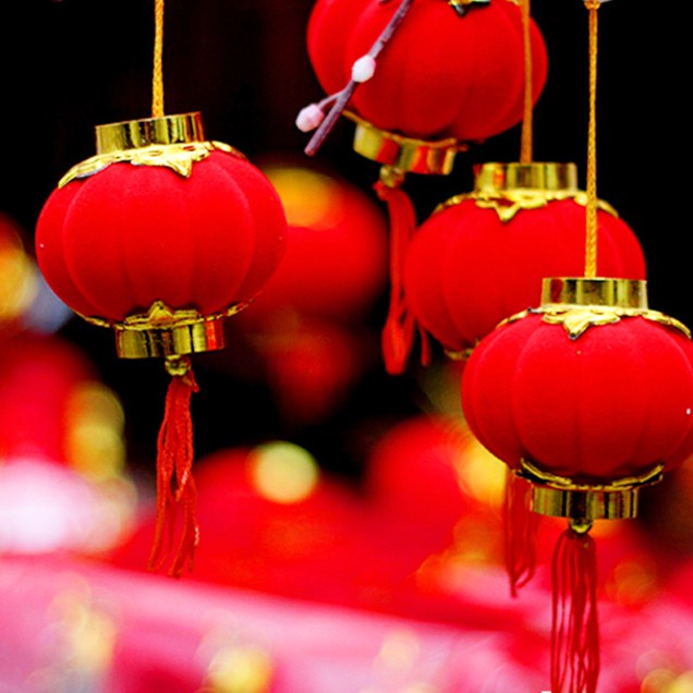 台灣現貨【新年吉祥掛飾】仿真糖葫蘆 中國結流蘇 福袋福桶 燈籠金幣 玄關佈置拍照 新年佈置 裝飾掛飾 玄關裝飾