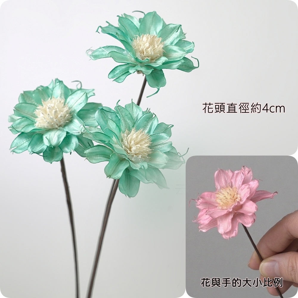 ❰藍❱雲茶花3朵,本頁面僅花頭不帶桿