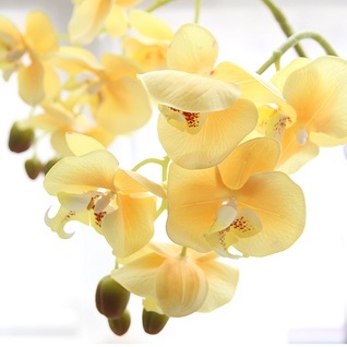 台灣現貨【仿真蝴蝶蘭】絹花蘭花 多頭花枝 會場佈置 新年玄關 婚禮餐廳拍照背景插花 花藝材料 新年佈置