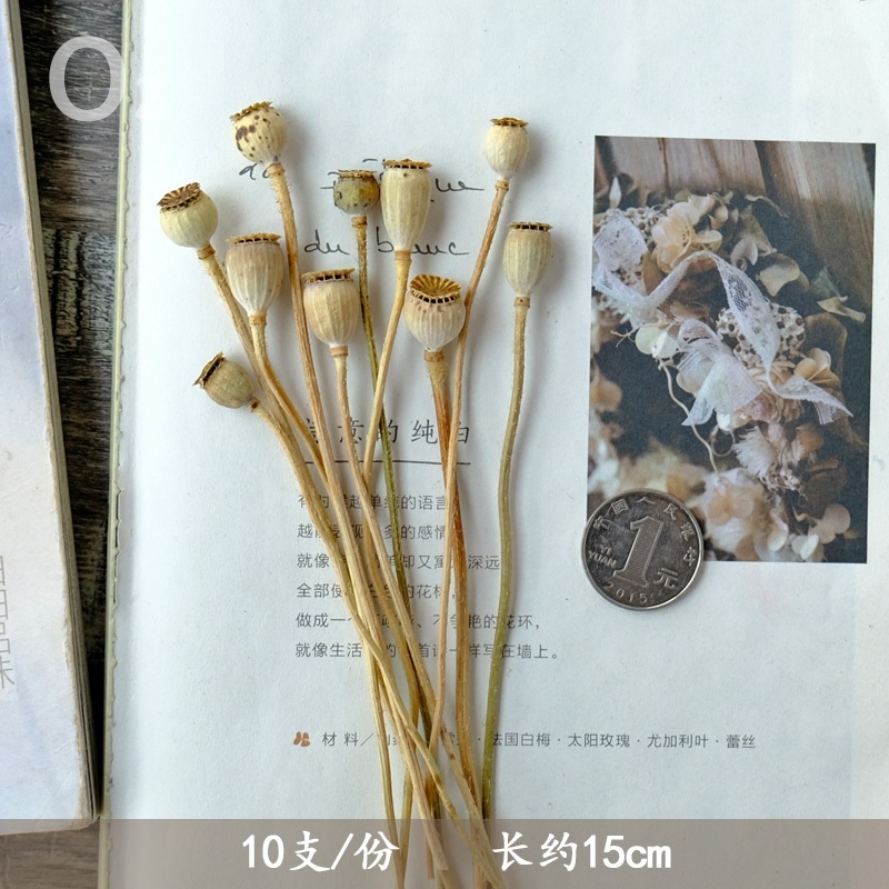 ❰原色❱虞美人(10枝),🦊~賣場商品眾多，歡迎參觀選購~🦊