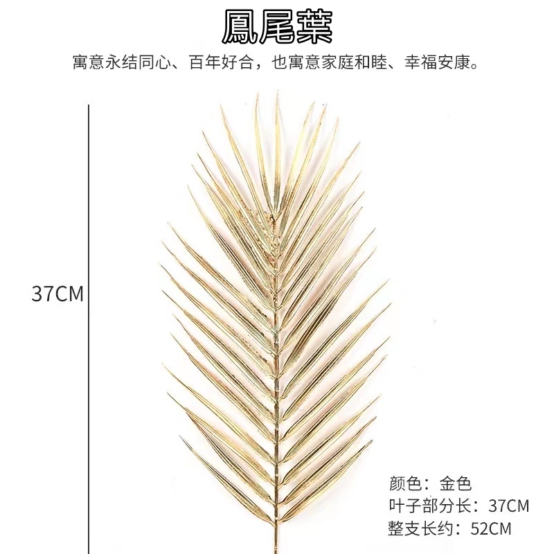 (金漆)鳳尾葉(1枝),🦊~賣場商品眾多，歡迎參觀選購~🦊