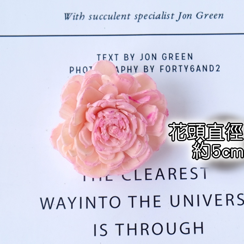 ❰淺粉❱太陽玫瑰索拉花(小),本頁面僅花頭不帶桿
