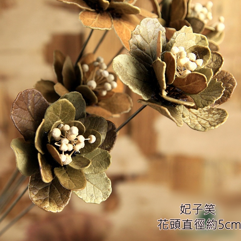 ❰深色❱妃子笑1朵,本頁面僅花頭不帶桿