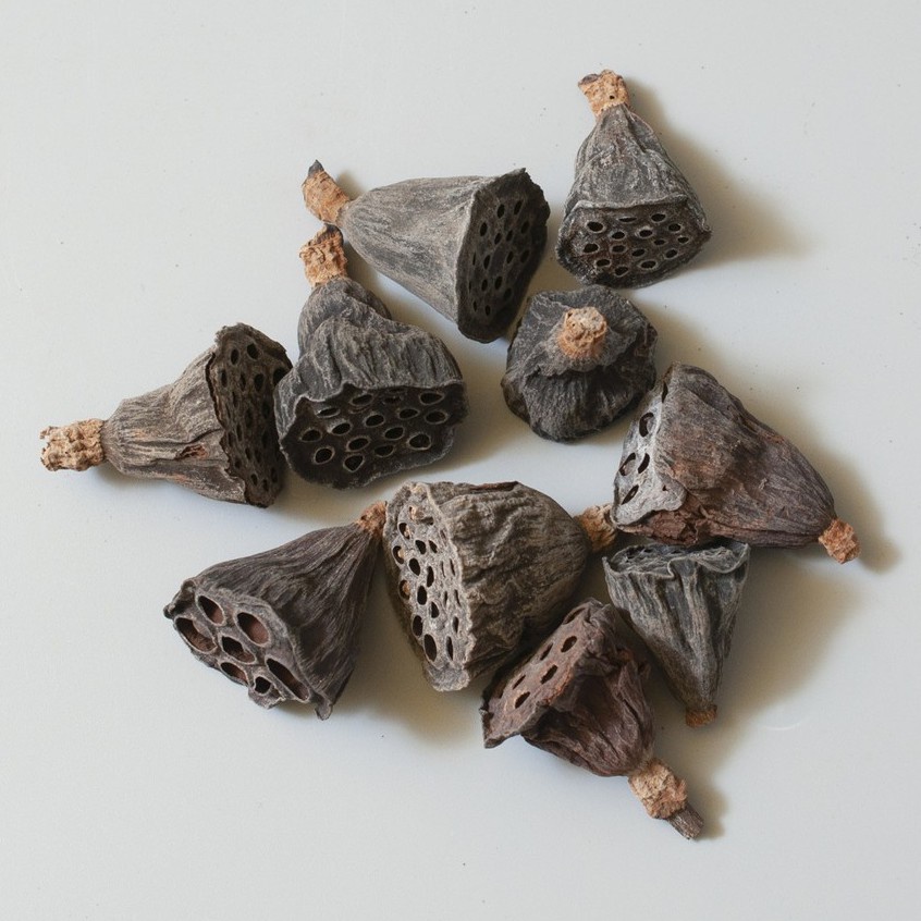 ❰原色❱小蓮蓬(2個),🦊~賣場商品眾多，歡迎參觀選購~🦊