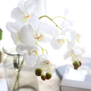 台灣現貨【仿真蝴蝶蘭】絹花蘭花 多頭花枝 會場佈置 新年玄關 婚禮餐廳拍照背景插花 花藝材料 新年佈置