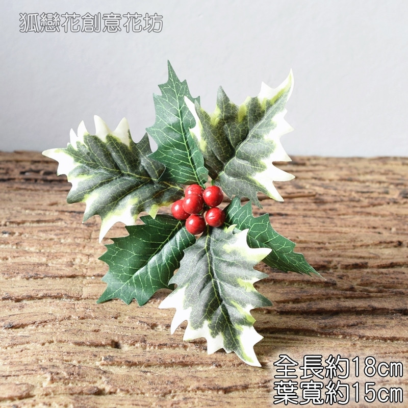 紅果聖誕葉插枝(白綠葉),🦊~賣場商品眾多，歡迎參觀選購~🦊