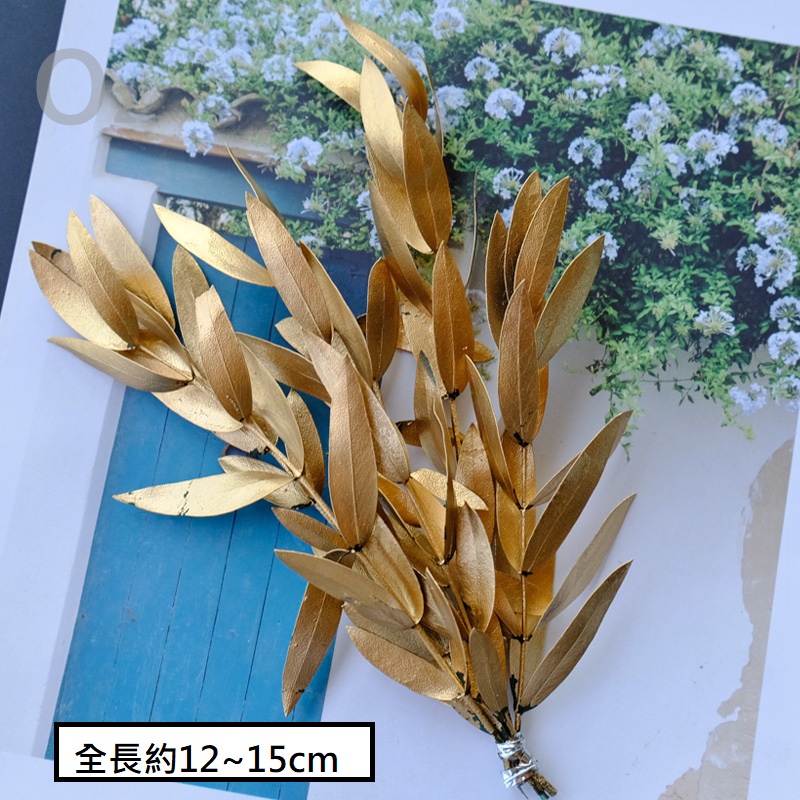 ❰金漆❱ 永生尖葉尤加利（1份）,🦊~賣場商品眾多，歡迎參觀選購~🦊